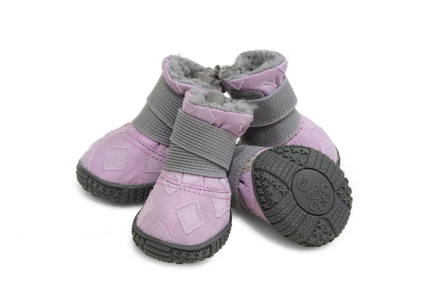 dog paw boots for winter